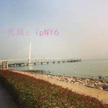 ˽
