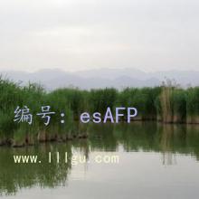 Ŀ