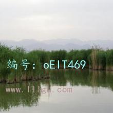 ҵ