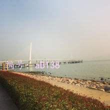 ׶