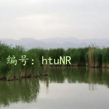 Ŀ