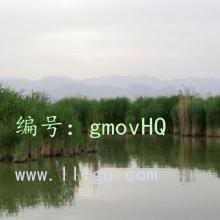 ȫ