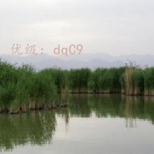 Բ