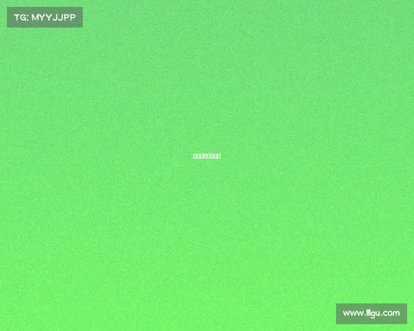 菜鸟互啄生存指南